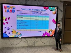 香港新地NOVOLAND 3B期预告下