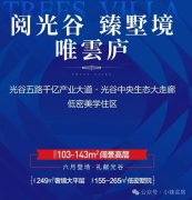 武汉光谷中心城投绿城雲