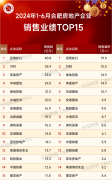 上半年合肥房企TOP15销售业
