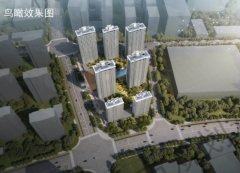 杭州江南科技城单元项目