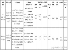 泉州台商区洛阳镇2宗地块