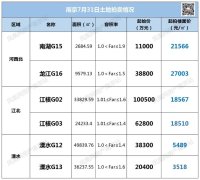 南京土拍活动即将登场！