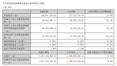 上海新阳涂料业务持续下