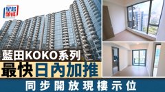 蓝田KOKO系列最快日内加推