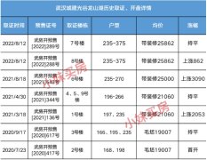 武汉城建·光谷龙山湖带装