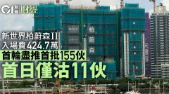 新世界柏蔚森II今首轮尽推