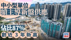 中小型单位续主导新盘供