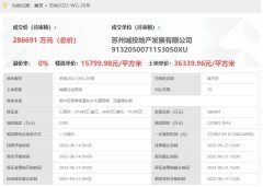 近园区板块纯新盘最新消