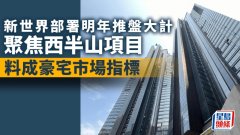 新世界部署明年推盘大计