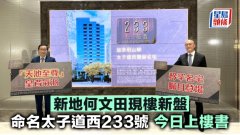 新地何文田现楼新盘 命名