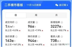 单日挂牌超3000套！限售取