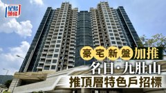 新盘豪宅加推 名日. 九肚