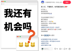 禅西环宇城推迟至12月28日