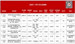 武汉12月房地产市场：宅地