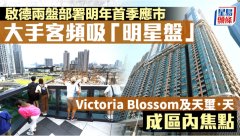 启德两盘部署明年首季应
