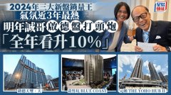 2024年三大新盘销量王 气氛