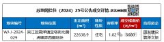 苏州2025首场土拍结果出炉