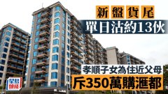 新盘货尾单日沽约13伙 孝