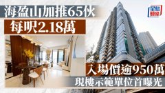 黄竹坑站海盈山减价逾2成