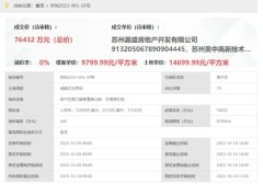 胥口纯新盘规划首次公示