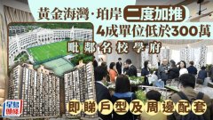 黄金海湾‧珀岸二度加推