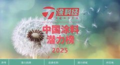 大宝仿石漆首次登上2025中