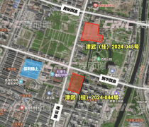 武清杨村挂牌2宗宅地 总金