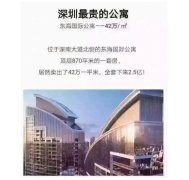 深圳东海国际公寓“5折”