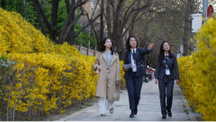 高从业时长、低流失率，