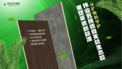 从矿物到守护：伟业五强