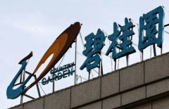 碧桂园地产在宽限期内顺