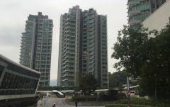 内地生在港租房潮再现 四