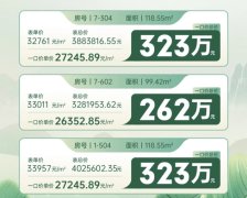 南京开发商降价80万卖房！
