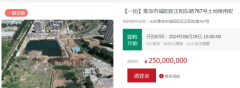 青岛城阳麦迪绅1宗宅地将