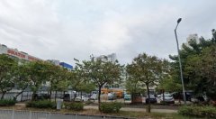 沙田小沥源住宅地块今招