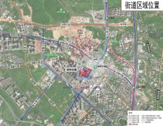 深圳光明维他奶片区地块