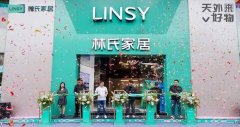 林氏家居首家旗舰未来店