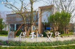南京现象级红盘保利文华