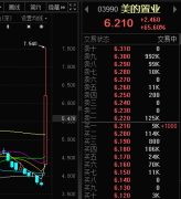 上市房企美的置业宣布剥