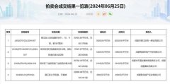 成都今日土拍结果出炉 三