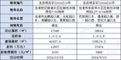 温州龙港市集中挂牌2幅商