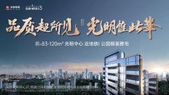深圳光明金地峰境誉府C栋