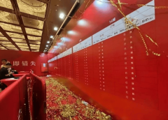 上海滨江豪宅中海领邸玖
