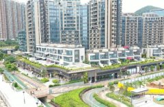 丽新发展拟出售将军澳蓝