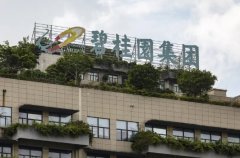 碧桂园房屋销售持续低迷
