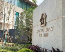 南京江宁纯新豪宅仁恒龙