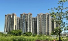 深中通道开通将为中山楼