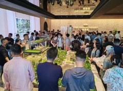 香港启德柏蔚森I计划短期