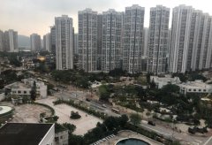香港新界蓝筹屋苑再现“
