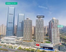 成都市首个收购存量商品